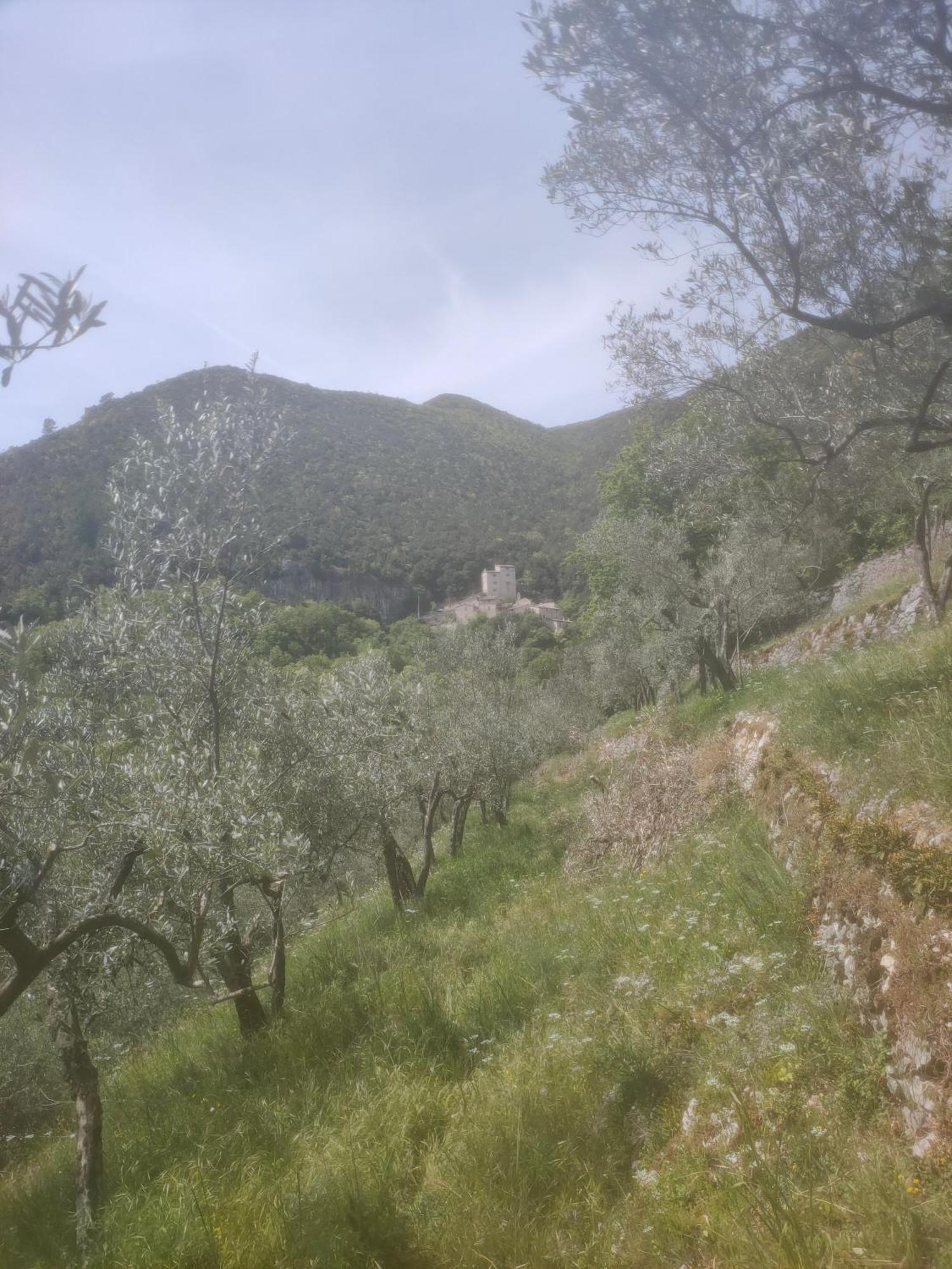 B&B Beep Beep, Tranquillo Scheggino Esterno foto